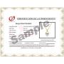 White Japanese AAAA 6-10mm Akoya Cultured Pearl Pendant Necklace 16''/18'' Solitaire Necklace Pendant - Orien Jewelry