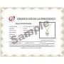 White Japanese AAAA 6-10mm Akoya Cultured Pearl Pendant Necklace 16''/18'' Solitaire Necklace Pendant - Orien Jewelry White Japanese AAAA 6-10mm Akoya Cultured Pearl Pendant Necklace 16''/18'' Solitaire Necklace Pendant - Orien Jewelry
