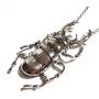 Regal Rock Jointed Stag Beetle Silvertone Chunky Pendant Chain Necklace Insect Bug Scarab Punk Wiccan