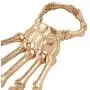 COLORFUL BLING Halloween Skull Skeleton Hand Bracelet with Ring Handmade Wristband Skull Fingers Metal Hand Bracelet Jewelry for Women Men Gifts