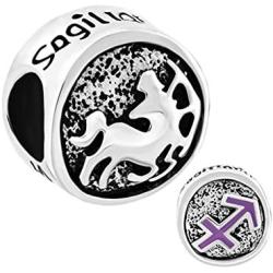 Third Time Charm 12 Zodiac Signs Charm Lucky Horoscope Beads for Charm Beacelets