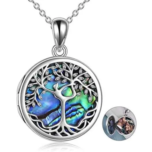 ONEFINITY Tree of Life Locket Necklace Sterling Silver Locket Necklace That Holds Pictures Tree of Life Locket Pendant Valentines Day Gifts for Women Wife Girlfriend