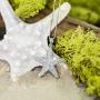 Honolulu Jewelry Company Sterling Silver Textured Starfish Necklace Pendant with 18'' Box Chain