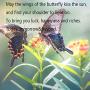 Butterfly Charm Keychain Irish Blessing Gifts Butterfly Jewelry Lover Gifts Going Away Gifts Graduation Gifts May The Wings of The Butterfly To Bring You Luck Happiness Riches