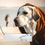 ENSIANTH Labrador Necklace Labrador Charm Necklace Labrador Gift for Dog Lovers