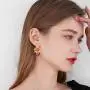 Pink Zircon Hook Earrings Enamel Glaze Flowers Drop Earrings for Women Teen Girls Birthday Christmas Friendship Mothers Day Gift Pink Zircon Hook Earrings Enamel Glaze Flowers Drop Earrings for Women Teen Girls Birthday Christmas Friendship Mothers Day Gift