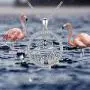 CHENGHONG Flamingo Necklace 925 Sterling Silver Cute Animal Pendant Flamingo Bird Pendant Necklace Flamingo Jewelry Gifts for Women Wife Mom CHENGHONG Flamingo Necklace 925 Sterling Silver Cute Animal Pendant Flamingo Bird Pendant Necklace Flamingo Jewelry Gifts for Women Wife Mom