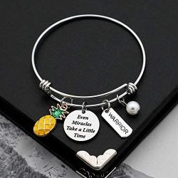 IVF Pineapple Gifts Infertility Warrior Gift Even Miracles Take a Little Time IVF Inspirational Gift