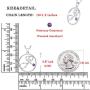 YL Stethoscope Necklace Sterling Silver Doctor Nurse Medical Pendant RN Registered Student Cubic Zirconia Jewelry for Women