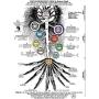 The Qabalistic Tarot Tree of Life Pendant Jewish Kabbalah Necklace Bead Chakra Healing Gemstone Jewelry