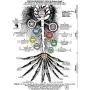 The Qabalistic Tarot Tree of Life Pendant Jewish Kabbalah Necklace Bead Chakra Healing Gemstone Jewelry