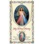 Rosemarie Collections Womens Religious Oval Medal Pendant Necklace (Divine Mercy/St Faustina)
