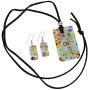 GlassOfVenice Murano Glass Millefiori Necklace and Earrings Set
