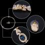 EVER FAITH Austrian Crystal Luxury Floral Leaf Necklace Stud Earrings Set