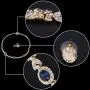EVER FAITH Austrian Crystal Luxury Floral Leaf Necklace Stud Earrings Set EVER FAITH Austrian Crystal Luxury Floral Leaf Necklace Stud Earrings Set
