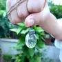 CLONG Dandelion Seed Pendant Wish Necklace Real Nature Flowers Seed with Crystal Clear Glass Charm Pendant Necklace Length 24.3'' Chain for Girls Women Friend Mom Gift