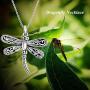 ONEFINITY Dragonfly Necklace 925 Sterling Silver Dragonfly Pendant Necklace Cute Dragonfly Jewelry for Women Men