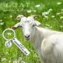 MAOFAED G.O.A.T Greatest of All Time Inspirational Gift Goat Lover Gift Motivational Gift Athletics Gift Encouragement Gift