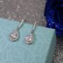 Scarlvambo Bridal Dangle Earrings Small Womens Cubic Zirconia Teardrop Pierced Silver-Tone