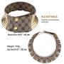 Fstrend African National Choker Collars Gold Leather Chunky Punk Necklace Gothic Statement Necklaces Jewelry for Women and Girls (Gold)