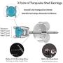 Sterling Silver Stud Earrings for Men Women Girls- Hypoallergenic Tiny Turquoise Stud Earring Set 2mm 3mm 4mm White Gold Plated Round Prong-Set Birthstone Small Earrings
