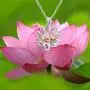 YWN Sterling Silver Cremation Jewelry for Ashes - Lotus Flower Pendant with Mini Keepsake Urn Memorial necklace for ashes of loved one YWN Sterling Silver Cremation Jewelry for Ashes - Lotus Flower Pendant with Mini Keepsake Urn Memorial necklace for ashes of loved one