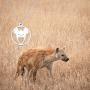 ENSIANTH Hyena Gift Hyena Lover Gift Hyena Necklace Hyena Jewelry for Her Animal Lover Gift
