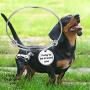 BAUNA Dachshund Bracelet Doxie Dog Jewelry I Long To Be Around You Wiener Dog Pet Owner Gift For Dachshund Lover
