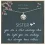 EFYTAL Sister Gifts from Sister, 925 Sterling Silver Star Necklace, Birthday Jewelry Gift Necklaces for Sisters, Best Friend EFYTAL Sister Gifts from Sister, 925 Sterling Silver Star Necklace, Birthday Jewelry Gift Necklaces for Sisters, Best Friend