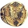 Lion Ring for Men, Norse Viking Lion Head Ring, Gold Lion Crown Ring, Gothic Sword Shield Wing Ring, Hip Hop Lion Signet Ring, Vintage Lion Totem Amulet Ring, Punk Animal Lion Jewelry Gift