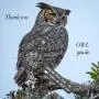 TIIMG Owl Gift Thank You Gift Appreciation Gift Thank You for All You Do Owl Keychain for Nurse Babysitter Social Worker Volunteer Teacher Coach TIIMG Owl Gift Thank You Gift Appreciation Gift Thank You for All You Do Owl Keychain for Nurse Babysitter Social Worker Volunteer Teacher Coach