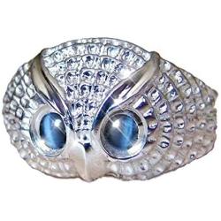 ANOJION Owl Ring, Hip hop Ring, Fashion Jewelry Gift for Men and Women, Alloy Material time Ring,Size 6-10