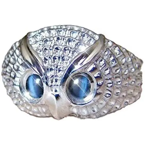ANOJION Owl Ring, Hip hop Ring, Fashion Jewelry Gift for Men and Women, Alloy Material time Ring,Size 6-10 ANOJION Owl Ring, Hip hop Ring, Fashion Jewelry Gift for Men and Women, Alloy Material time Ring,Size 6-10