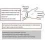 Tarring Shiny Star Identification Bracelets for Women Medical Alert Bracelet with Free Engraving