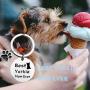 MAOFAED Dog Gift Yorkshire Terrier Gift Best Yorkie Mom Ever Dog Lover Gift Yorkshire Silky Terrier Jewelry Gift for Dog Mom