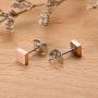 TGNEL Hypoallergenic Titanium EARRING