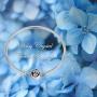 LONAGO Jewelry Moments Daisy Flower Snake Chain Charm 925 Sterling Silver Blue Crystal Bracelet Fit Pandora Charm Birthday Gift for Women Mom