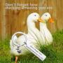 MAOFAED Duck Gift Inspirational Gift Duck Lover Gift Don’t Forget How Ducking Amazing You are Birthday Gift
