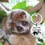 BLEOUK Funny Sloth Gift Cute Animal Sloth Quote Keychain Slow The Fuck Down Sloth Lover Gift BLEOUK Funny Sloth Gift Cute Animal Sloth Quote Keychain Slow The Fuck Down Sloth Lover Gift