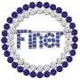 Sorority Gift Finer Zircon Brooch Pin 1920 Greek Sorority Jewelry Gift Sorority Gift Finer Zircon Brooch Pin 1920 Greek Sorority Jewelry Gift