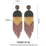 ALLEN DANMI Jewelry Dangle Earrings Ethnic Bohemia Style Handmade Colorized Seed Beads Waterfall Shape Statement Drop Earrings Shining Luxury Gift for Women.