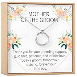 Mother of the Groom Gift Necklace: Parent of the Groom Jewelry, 2 Linked Circles (silver-plated-brass, NA)