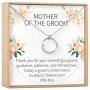 Mother of the Groom Gift Necklace: Parent of the Groom Jewelry, 2 Linked Circles (silver-plated-brass, NA)