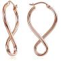Hoops & Loops Sterling Silver Infinity Polished Hook Endless Earrings