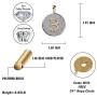 TOPGRILLZ Fully Iced Out CZ 14K Gold Plated Bitcoin Cryptocurrency Pendant Necklace Chain Men