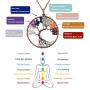AQwzh Tree of Life Necklace for Women Tree of Life Pendant Amethyst Rose Crystal Necklace Gemstone Chakra Jewelry for Her Valentines Day