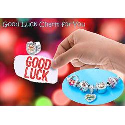 Sambaah Sterling Silver Horseshoe Lucky Charms-Rose Gold Plated Beads with Cubic Zirconia Stones fit Women Pandora Bracelets