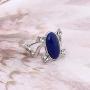 2 Packs Unisex Vampire Diaries Elena Sapphire Crystal Daylight Ring and Katherine Sapphire Crystal Pendant Daywalking Necklace 2 Packs Unisex Vampire Diaries Elena Sapphire Crystal Daylight Ring and Katherine Sapphire Crystal Pendant Daywalking Necklace