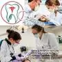 TIIMG Dental Assistant Gift A Truly Great Dental Assistant is Hard to Find Keychain Dentist Appreciation Gift Dentist Graduation Gift TIIMG Dental Assistant Gift A Truly Great Dental Assistant is Hard to Find Keychain Dentist Appreciation Gift Dentist Graduation Gift
