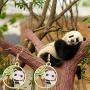 WSNANG Panda Earrings Panda Bear Eating Bamboo Leaf Dangle Earrings for Women Girls Panda Lover Gift